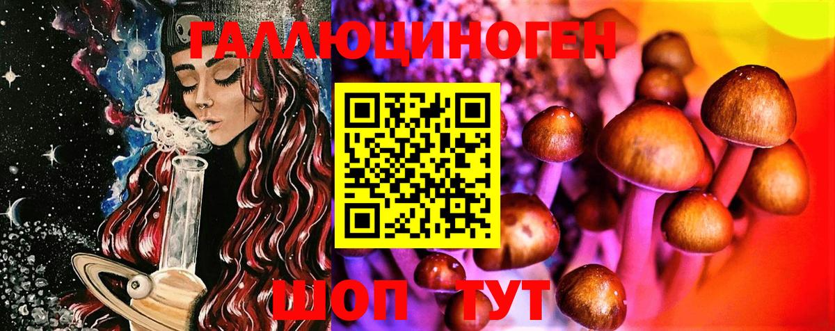 Псилоцибиновые грибы Psilocybine cubensis  Вход с VPN  Галлюциногенные грибы мицелий  Кувандык 