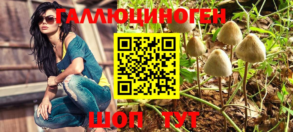 Галлюциногенные грибы мицелий Кувандык
